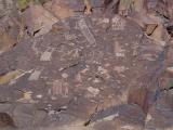 Petroglyph in Little Petroglyph Canon