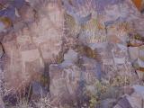 Petroglyph in Little Petroglyph Canon
