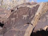 Petroglyph in Little Petroglyph Canon