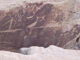 Petroglyph in Arizona