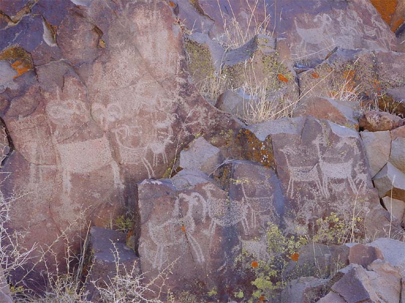 Petroglyph in Little Petroglyph Canon