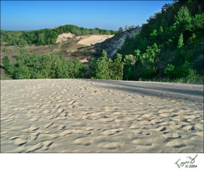 Warrend Dunes Back of the Dune