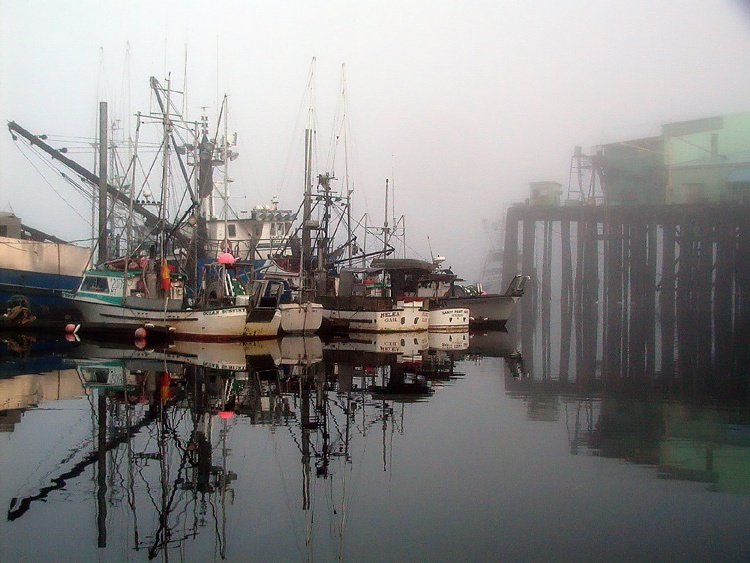 North Harbor, Petersburg