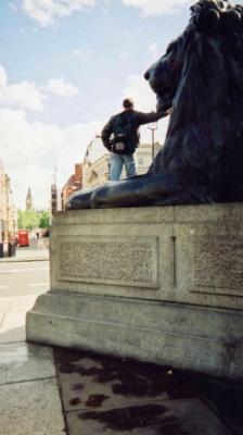 The Trafalgar Square Lion