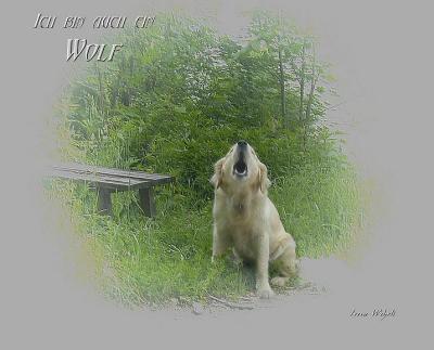 Janka  Aebli - ich bin auch ein Wolf!