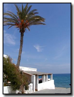 u29/wendyo/medium/17211677.coast07copy.jpg