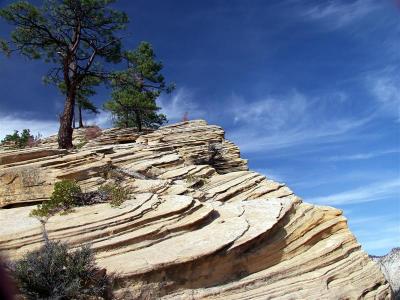 Zion National Park