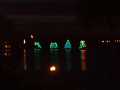 u29/wisefrog/medium/17073340.P5230215.jpg