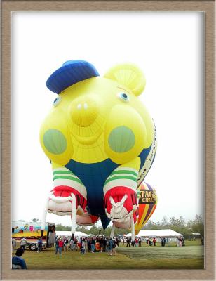 Temecula Balloon and wine Festival 2003