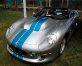 Shelby Cobra Series 1 - Concours dAutomobile, Long Beach Raibow Lagoon - June 1, 2003