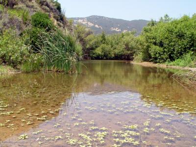 Gaviota State Park