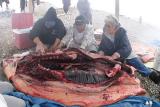 Cutting an ugruk