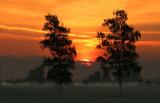 Sunrise, the beginning of a beautiful day in june....