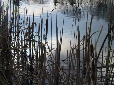 Kortright Centre