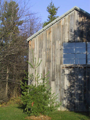 Tom Thomson Shack