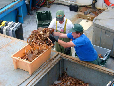 Crabbing