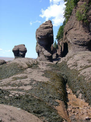 Hopewell Rocks (click for caption)