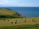 Hay Bales Along the Water