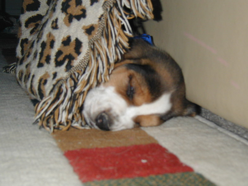 aint he cute?