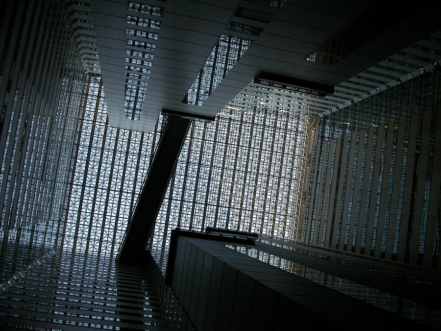 DSCN3014_LookinUp.jpg