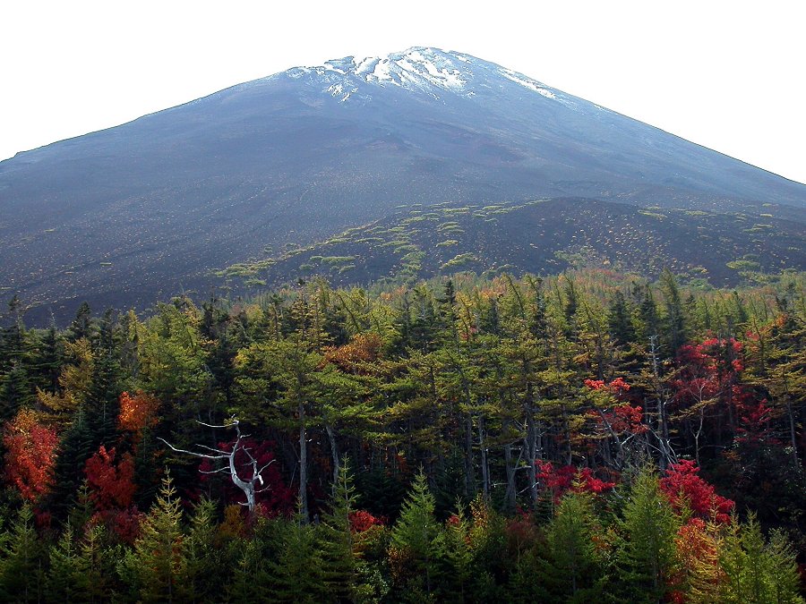 Mount Fuji