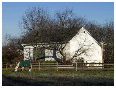 Horse Barn (farm)