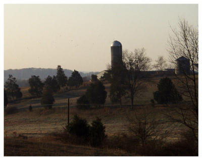 Early morning farm