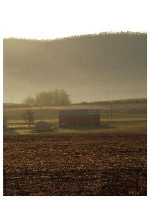 Misty morning makes for ghost-like farms
