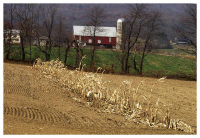Forgotten Corn (farm, barn)