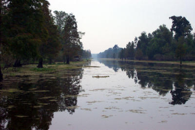 Picture_2328.jpg