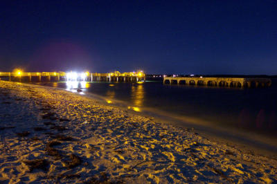 Picture_2498.jpg