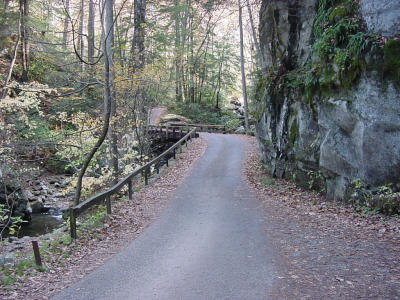 Bridge across Roaring Fork Creek