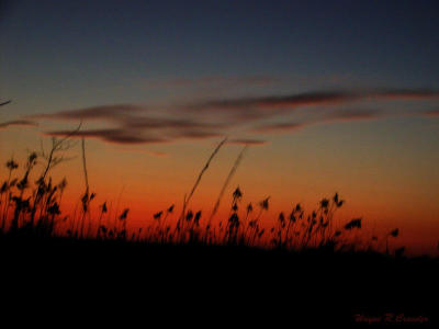 Nov sunset 2.jpg