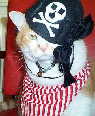 BJ the Pirate