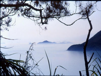 u3/gben/medium/570866.lantau1.jpg