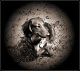 Frankie03