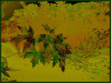 Naturething
