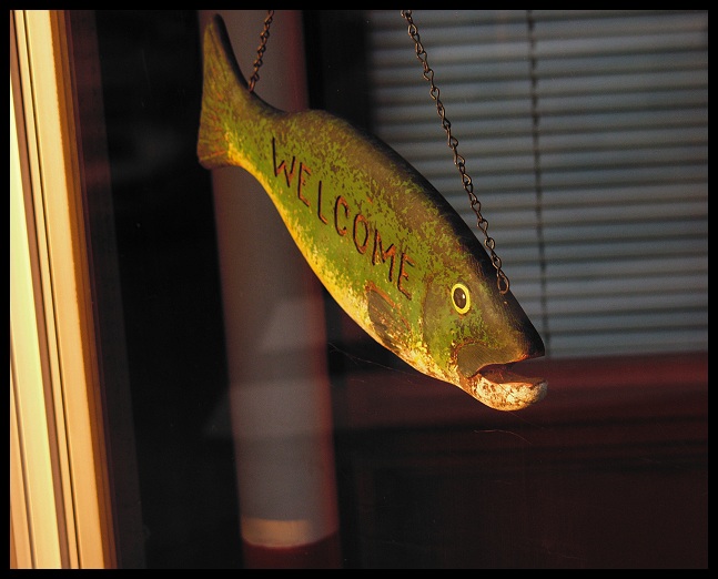 Welcomefish