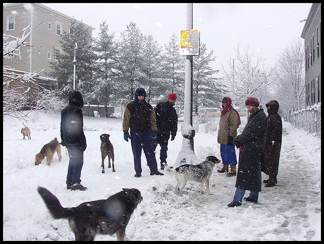 Dogpeople1