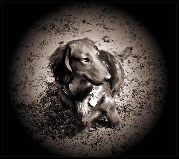 Frankie03