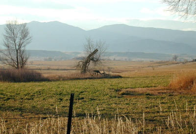 Sunday in November