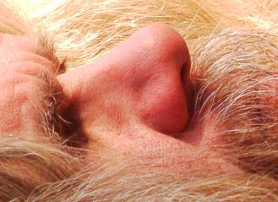 DSCF0551_1part.jpg