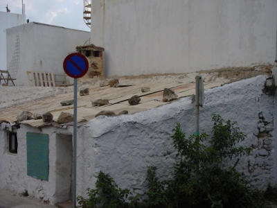 Dsc00005.jpg