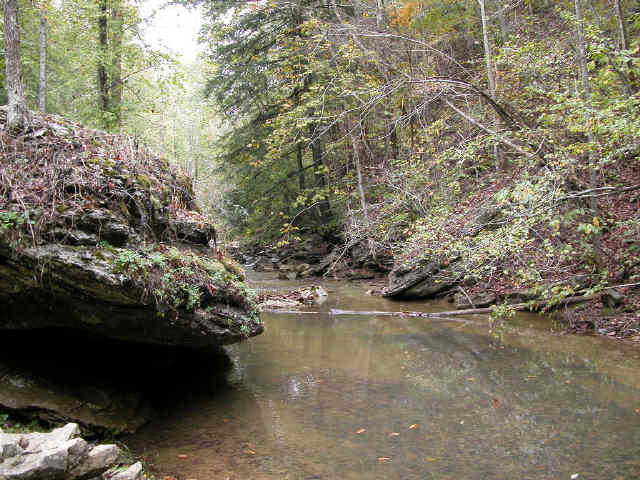 Small river close to Carters cave.jpg