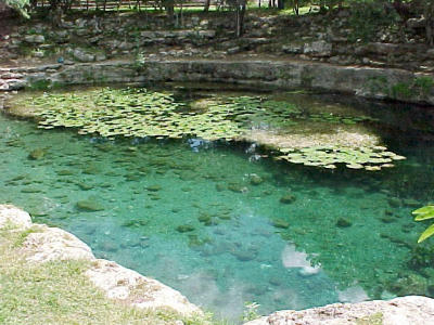 de cenote, een oase van rust...