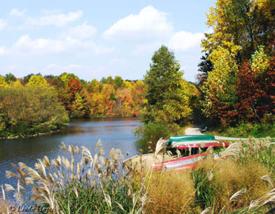 Centennial Fall Canoes