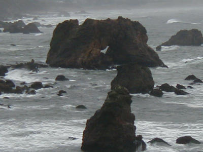 P1010025.JPG