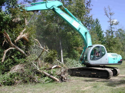 Trees were no match for tractor