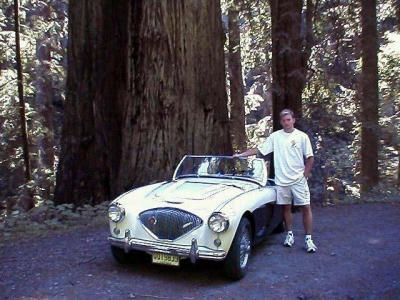 Dan in Redwood Forest