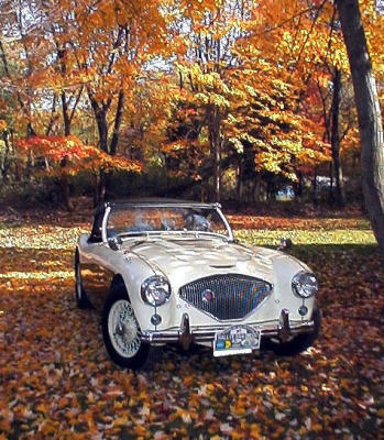 1956 Austin Healey 100 BN2